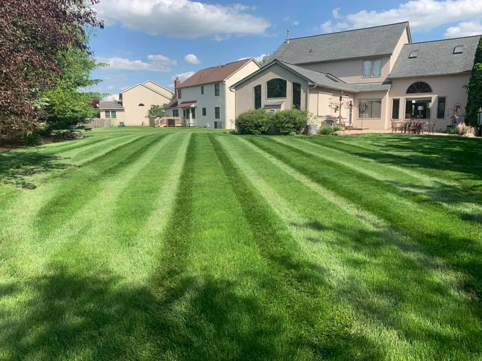 Professional landscaper maintaining beautiful garden with professional equipment