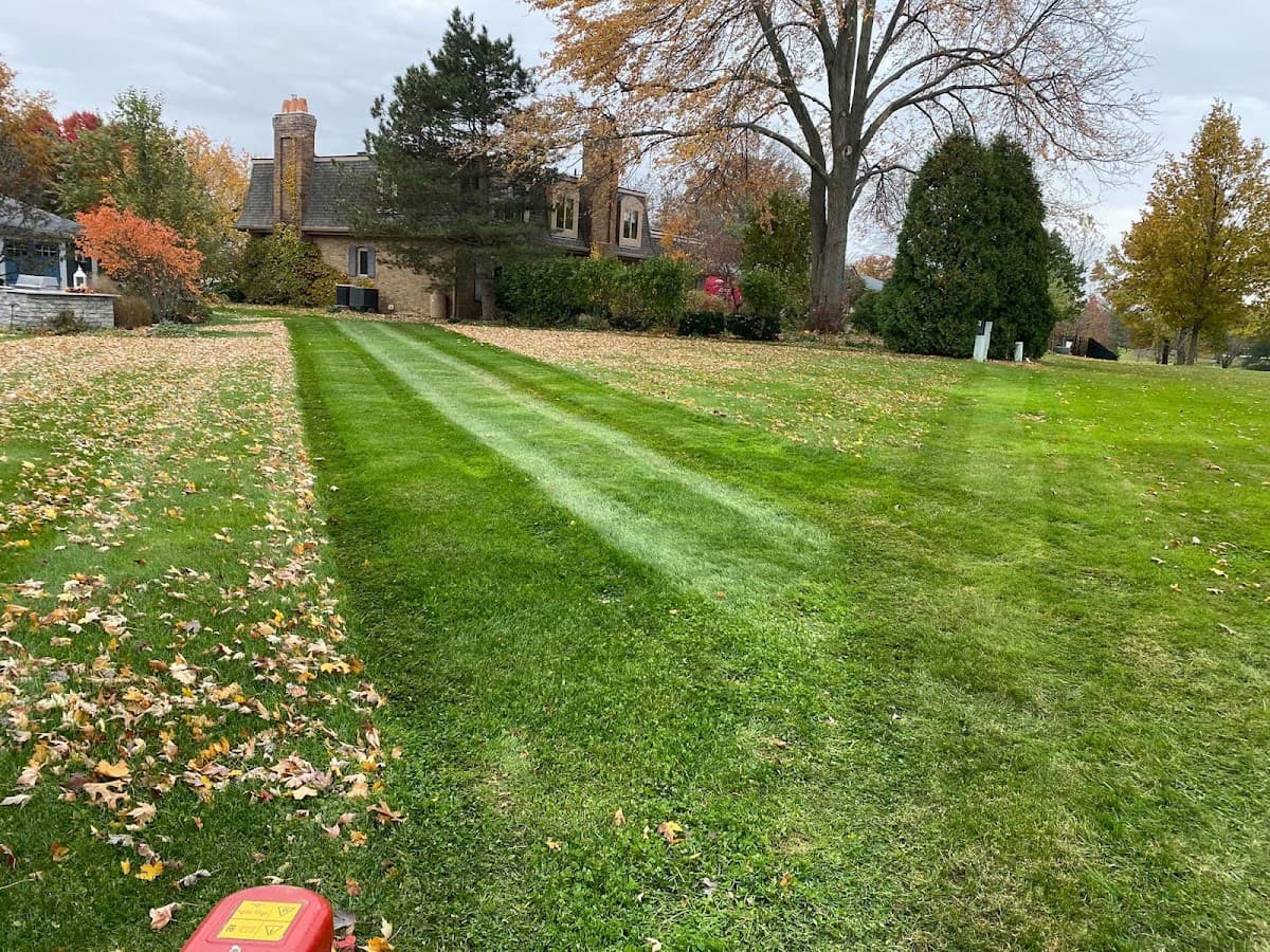 Professional landscaping consultation and planning