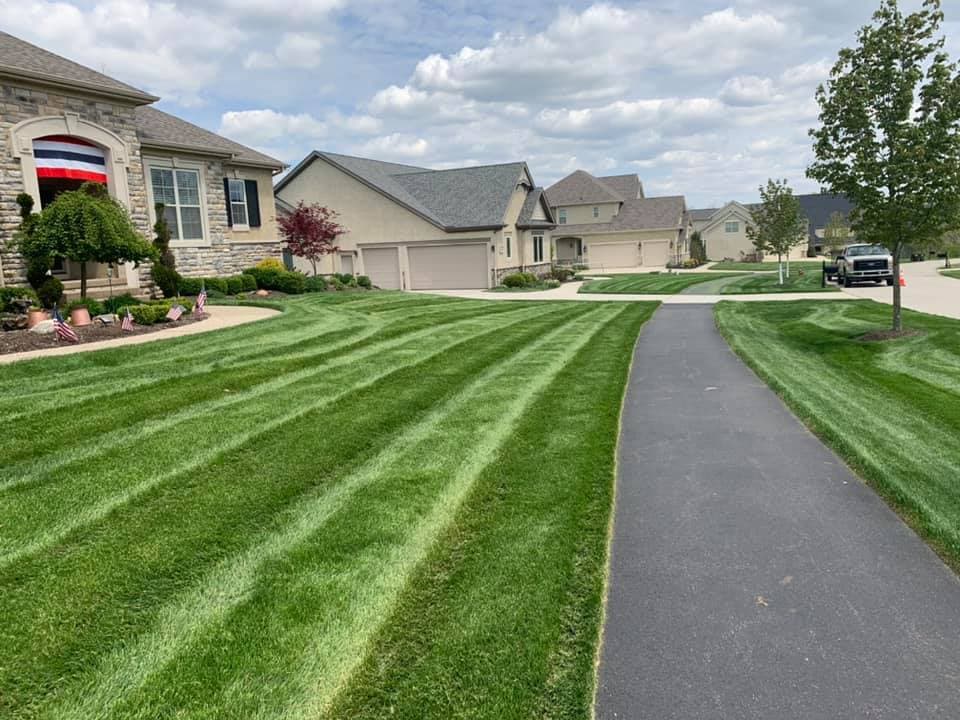 Professional landscaping services and equipment