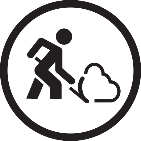 Professional snow removal service for driveways and walkways